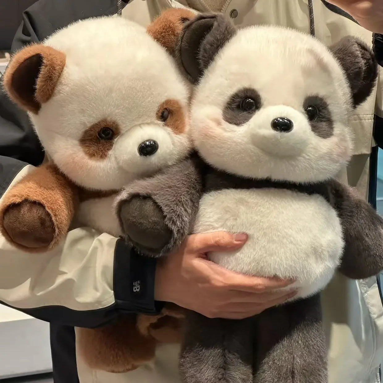 Peluche Osito Que Corre
